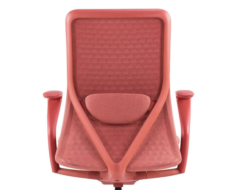 poly ergonomic chair